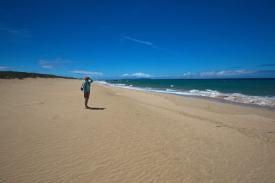 The Crowded Beach