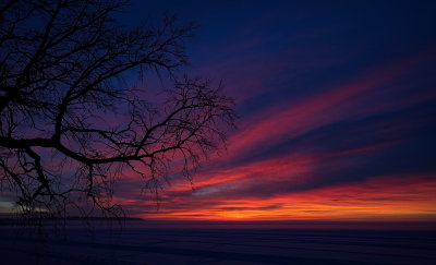 Daybreak with Fog