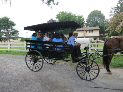 Buggy ride in Amish country