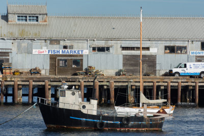 N1981 Monterey Pier