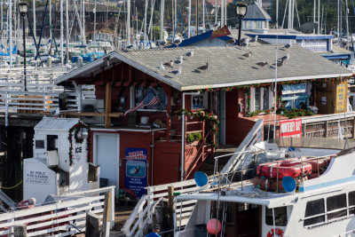 N1991 Monterey Pier