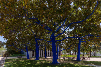 N8464 Blue Trees