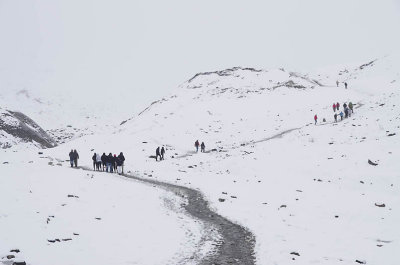 all white next to Athabasca Glacier