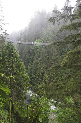 Capilano Suspension Bridge