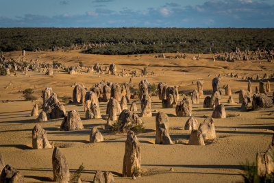 The Pinnacles near sunset _1020599 