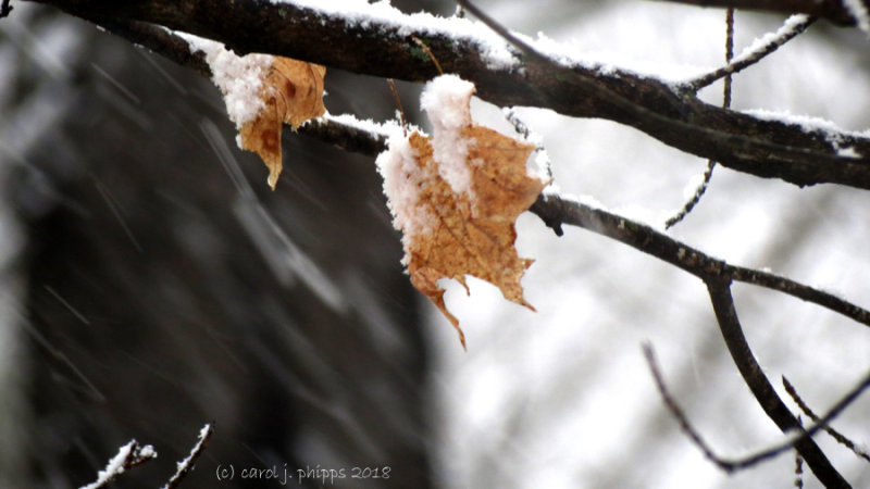 First Day of Spring, 2018