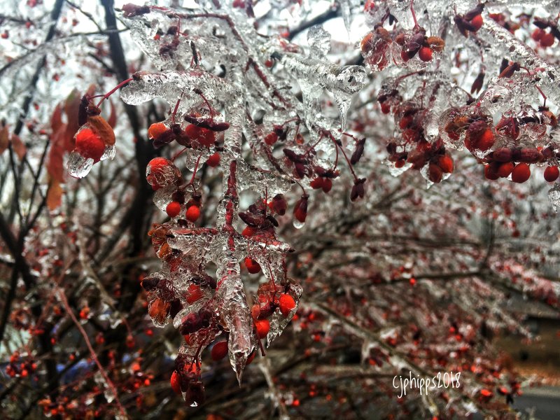 Seasonal 