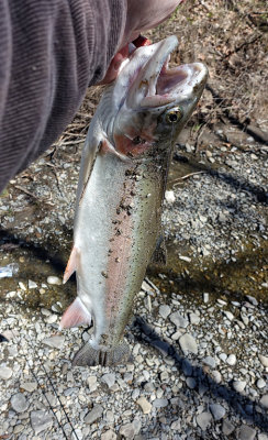 23 Inches/5 Pounds 18 Apr
