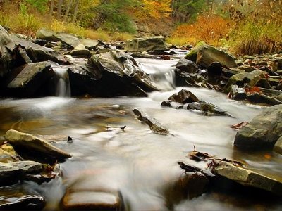 Tracy Creek