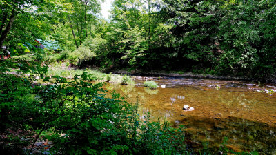 creek 1.jpg