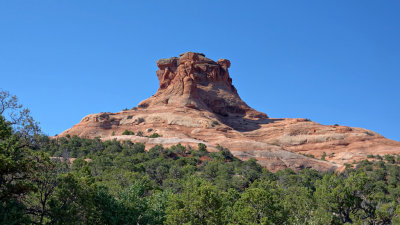 Le Sal Nat Forest Loop Rd 06014 RX10 III_dphdr.jpg