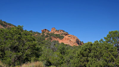 Le Sal Nat Forest Loop Rd 06032 RX10 III_dphdr.jpg
