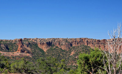 Le Sal Nat Forest Loop Rd 06041 RX10 III_dphdr.jpg