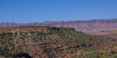 Le Sal Nat Forest Loop Rd 06095 RX10 III_dphdr.jpg
