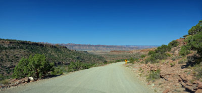 Le Sal Nat Forest Loop Rd 06122 RX10 III_dphdr.jpg