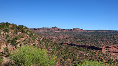 Le Sal Nat Forest Loop Rd 06140 RX10 III_dphdr.jpg