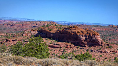 Le Sal Nat Forest Loop Rd 06158 RX10 III_dphdr.jpg