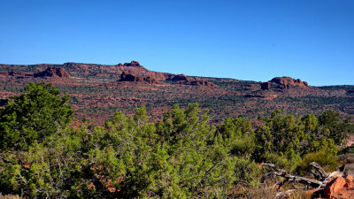 Le Sal Nat Forest Loop Rd 06176 RX10 III_dphdr.jpg