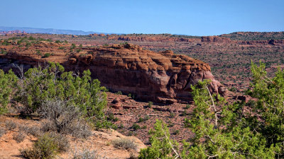 Le Sal Nat Forest Loop Rd 06221 RX10 III_dphdr.jpg
