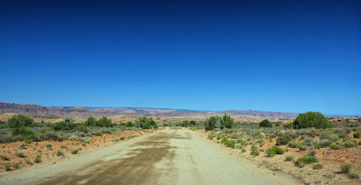 Le Sal Nat Forest Loop Rd 06230 RX10 III_dphdr.jpg