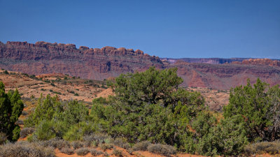 Le Sal Nat Forest Loop Rd 06293 RX10 III_dphdr.jpg