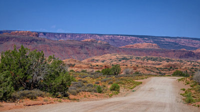 Le Sal Nat Forest Loop Rd 06302 RX10 III_dphdr.jpg