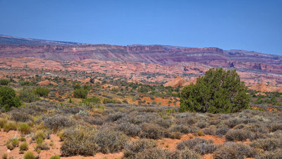 Le Sal Nat Forest Loop Rd 06320 RX10 III_dphdr.jpg