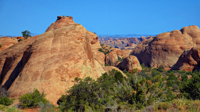 Le Sal Nat Forest Loop Rd 06338 RX10 III_dphdr.jpg