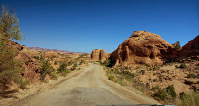 Le Sal Nat Forest Loop Rd 06365 RX10 III_dphdr.jpg