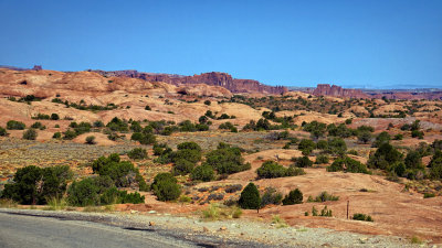 Le Sal Nat Forest Loop Rd 06383 RX10 III_dphdr.jpg