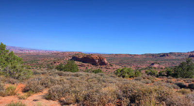 1000 Le Sal Nat Forest Loop Rd 06221 RX10 III_dphdr-3 images.jpg