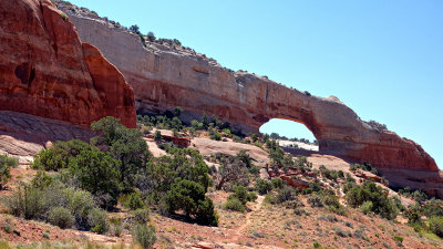 05526 Canyonlands Needles RX10 III_dphdr.jpg