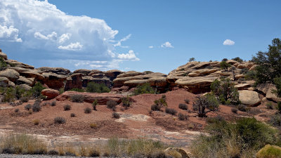 05646 Canyonlands Needles RX10 III_dphdr.jpg