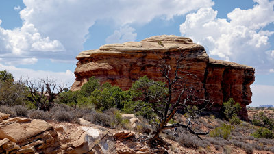 05691 Canyonlands Needles RX10 III_dphdr.jpg