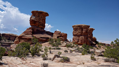 05718 Canyonlands Needles RX10 III_dphdr.jpg