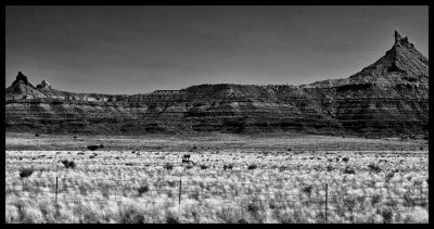Canyonlands DSC08230 raw_HDR.jpg