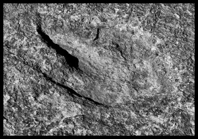 Tuba City Dinosaur Tracks DSC07762 raw_HDR.jpg