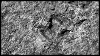 Tuba City Dinosaur Tracks DSC07797 raw_HDR.jpg