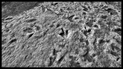Tuba City Dinosaur Tracks DSC07812 raw_HDR.jpg