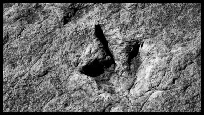 Tuba City Dinosaur Tracks DSC07817 raw_HDR.jpg