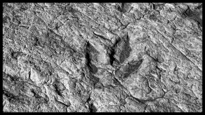 Tuba City Dinosaur Tracks DSC07822 raw_HDR.jpg