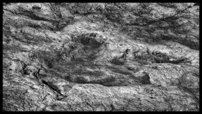 Tuba City Dinosaur Tracks DSC07827 raw_HDR.jpg