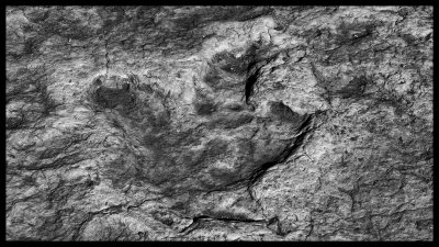 Tuba City Dinosaur Tracks DSC07832 raw_HDR.jpg