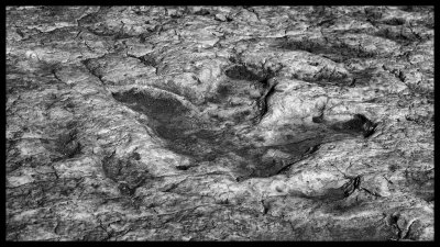 Tuba City Dinosaur Tracks DSC07837 raw_HDR.jpg