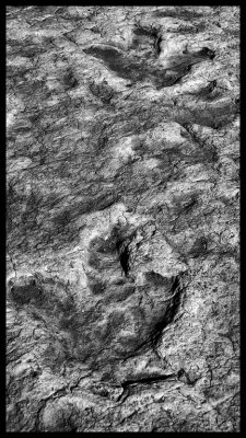 Tuba City Dinosaur Tracks DSC07842 raw_HDR.jpg