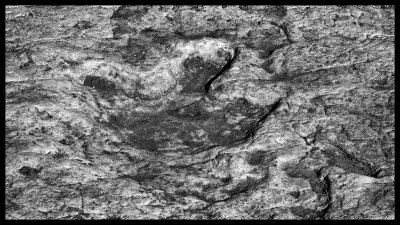 Tuba City Dinosaur Tracks DSC07852 raw_HDR.jpg