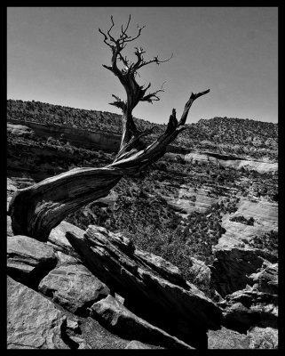 Colorado National Monument  DSC08415 raw_HDR.jpg