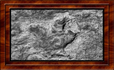 2016-07-10 Tuba City Dinosaur TRACKS