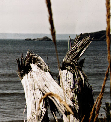 1980 Trip Across the USA VIDEO SLIDESHOW