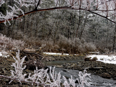 Falls Snow 12-28-03 tracy creek ice Dsc08073 (Flowers).jpg